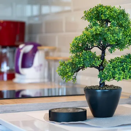 Appartement Tramonto-3 By Interhome Vir