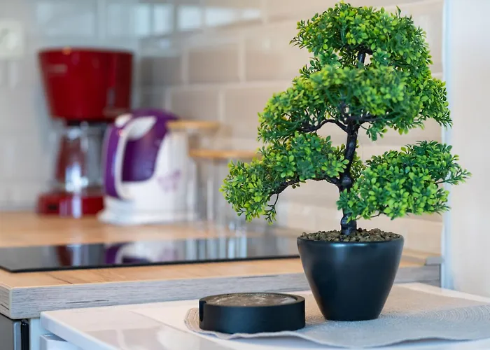 Apartman Tramonto-3 By Interhome Vir